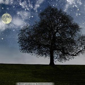 寻觅风的记忆（纯音乐）