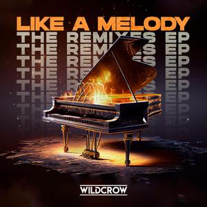 Like A Melody (Wildcrow VIP Mix)