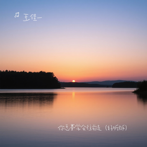 你总要学会往前走