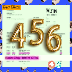 我就是这种456女孩