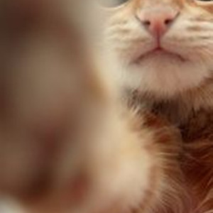 Get The Drop On Em (slowed)