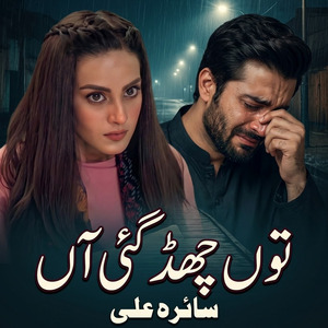 Tu Chad Gai Aa