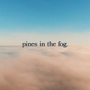 Pines in the Fog