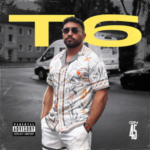 T6