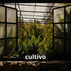 Cultivo