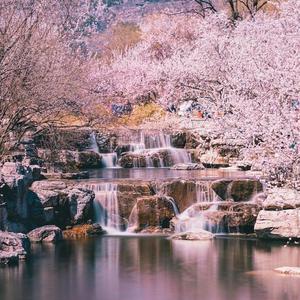 春去春又来 清新国风