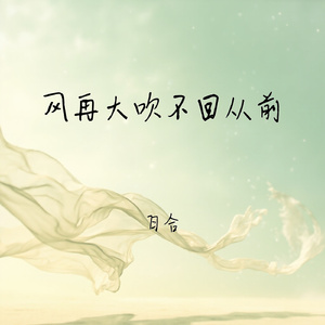 风再大吹不回从前