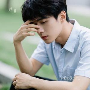 笨蛋的意外性 (Cover 贰万)