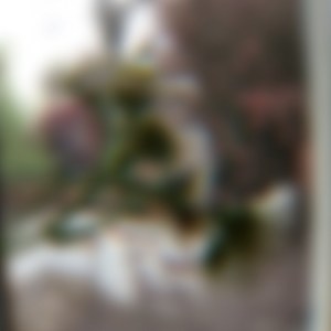 Cernunnos