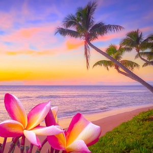 リラクゼーション音楽 ～アロマ・スパ・瞑想・ヨガ・睡眠向けBGM ～ 南国の海の雰囲気を感じる、芯から癒されるヒーリングミュージック