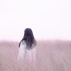 秘密讲给风听 (优美八音盒)