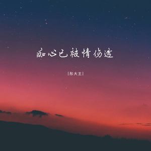 痴心已被情伤透