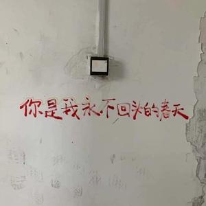 你是我永不回头的春天