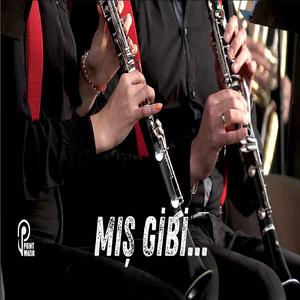 MIŞ GİBİ... (feat. Firdevs)