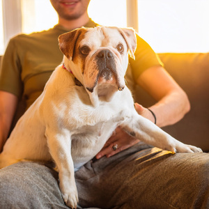 Armonía De Acompañamiento Orquestal