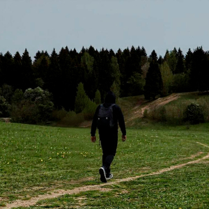 Бескрайние поля