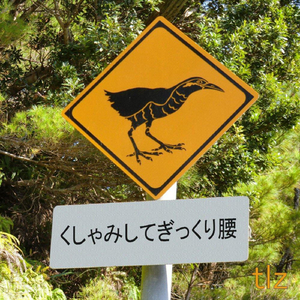 Saint Green (緑の聖人) (feat. Hiro)