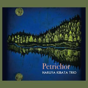 Stranger in Paradise