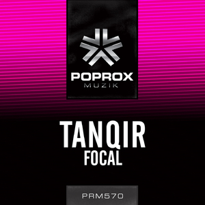 Focal (Original Mix)