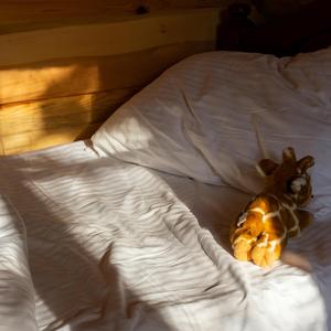 고양이를 위한 자장가