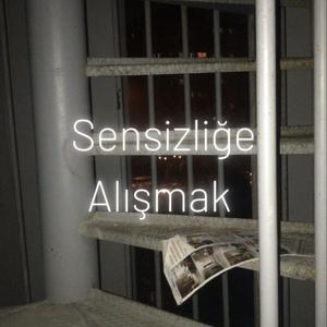 Sensizliğe Alışmak