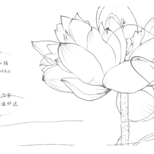 ピアノ・レッスン