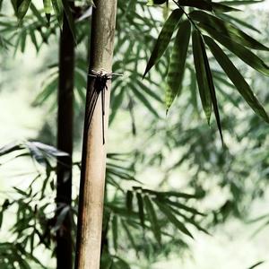 Sama Seperti Aku Dalam Keinginanmu