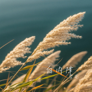 白内障