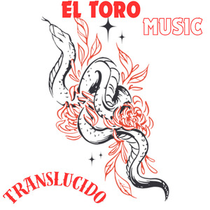 Translucido