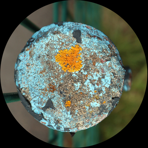 After The Storm (Original Mix)