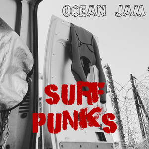 Surf Punks