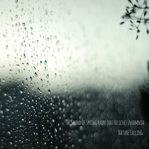 불면증을 해소해주는 봄비소리