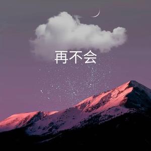 再不会