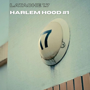 HARLEM HOOD #1