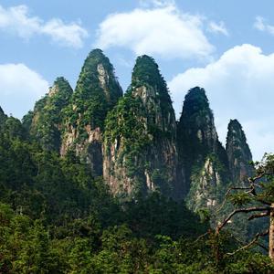 久久不见久久见