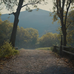 Judders of suspended animation, 425 Hz