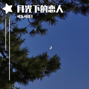 月光下的恋人_new_1