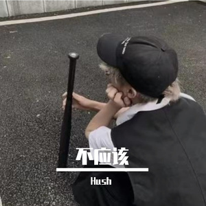 不应该（Live版）