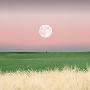 请给我昨日的我