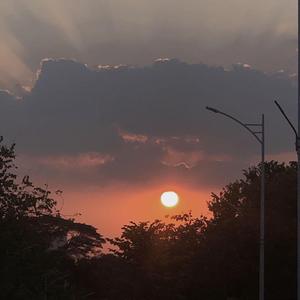 想对他说（Prod.No Birthday）