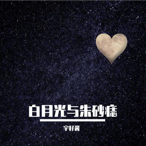 白月光与朱砂痣