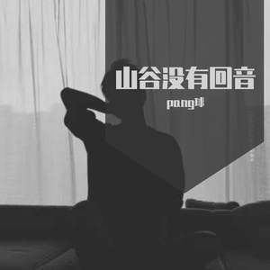 山谷没有回音