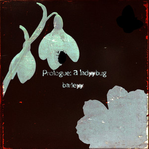 Prologue: a ladyybug