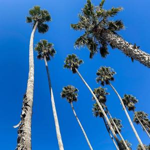 SomebodyThatIUsedToKnow