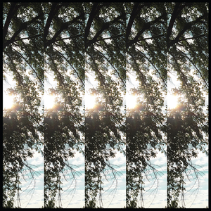 Herb is My Next Door Neighbor