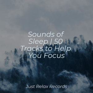 Cosmic Elegy for Lost Souls