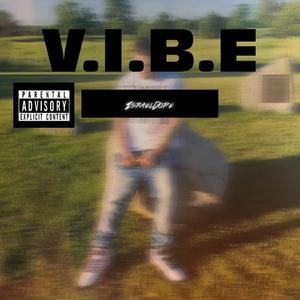 V.I.B.E