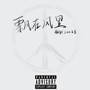 飘在风里