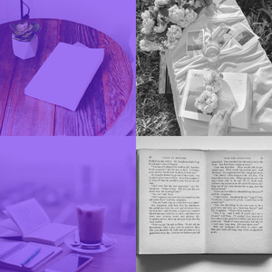 柔和的学习时刻