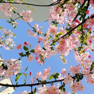 我的人生我做主